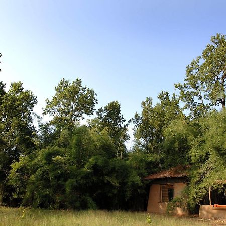 Mahua Kothi, Bandhavgarh National Park Hotell Tāla Eksteriør bilde
